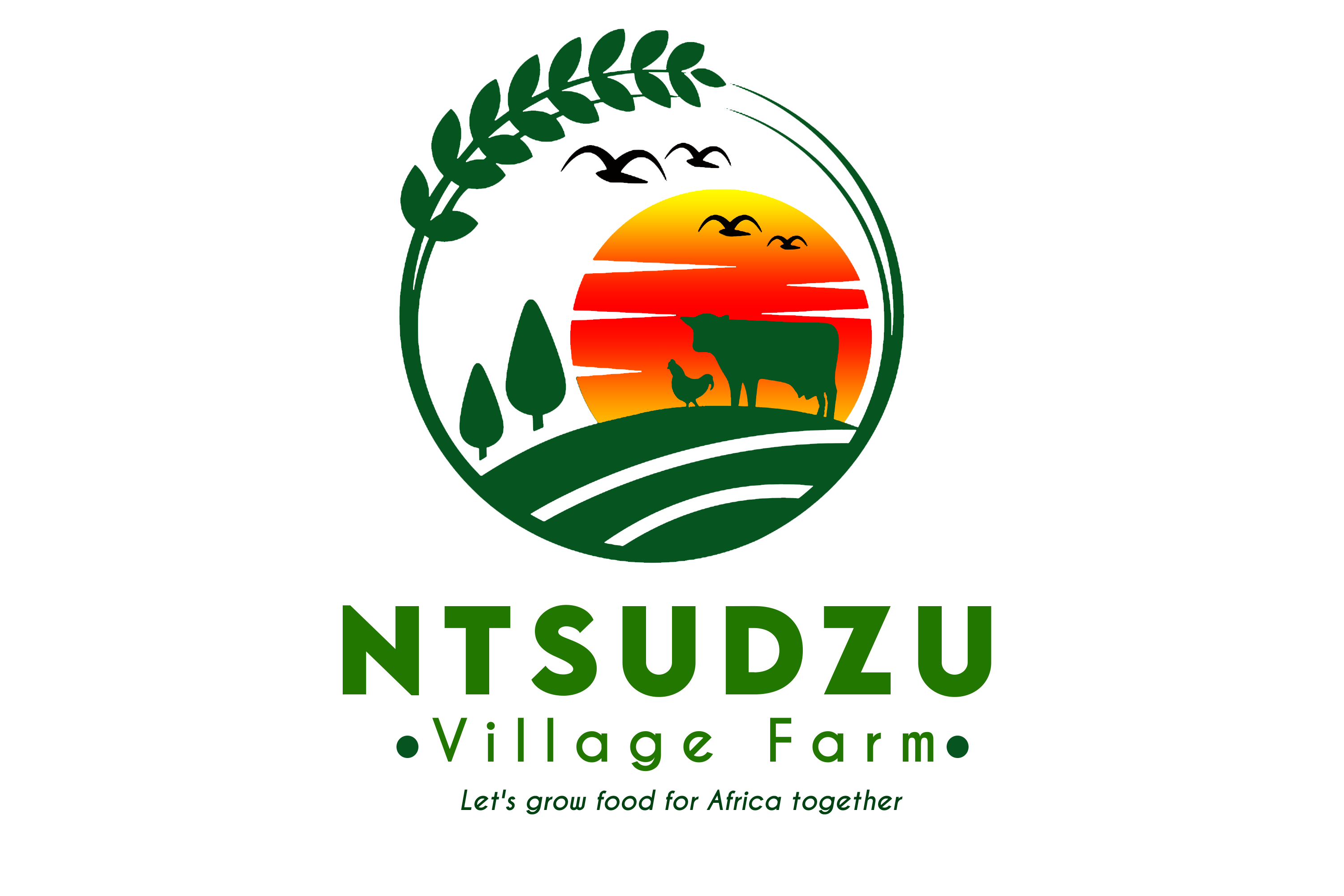 transparent logo